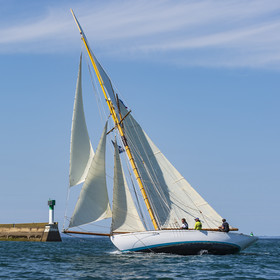 113-hoalen-2024.jpg