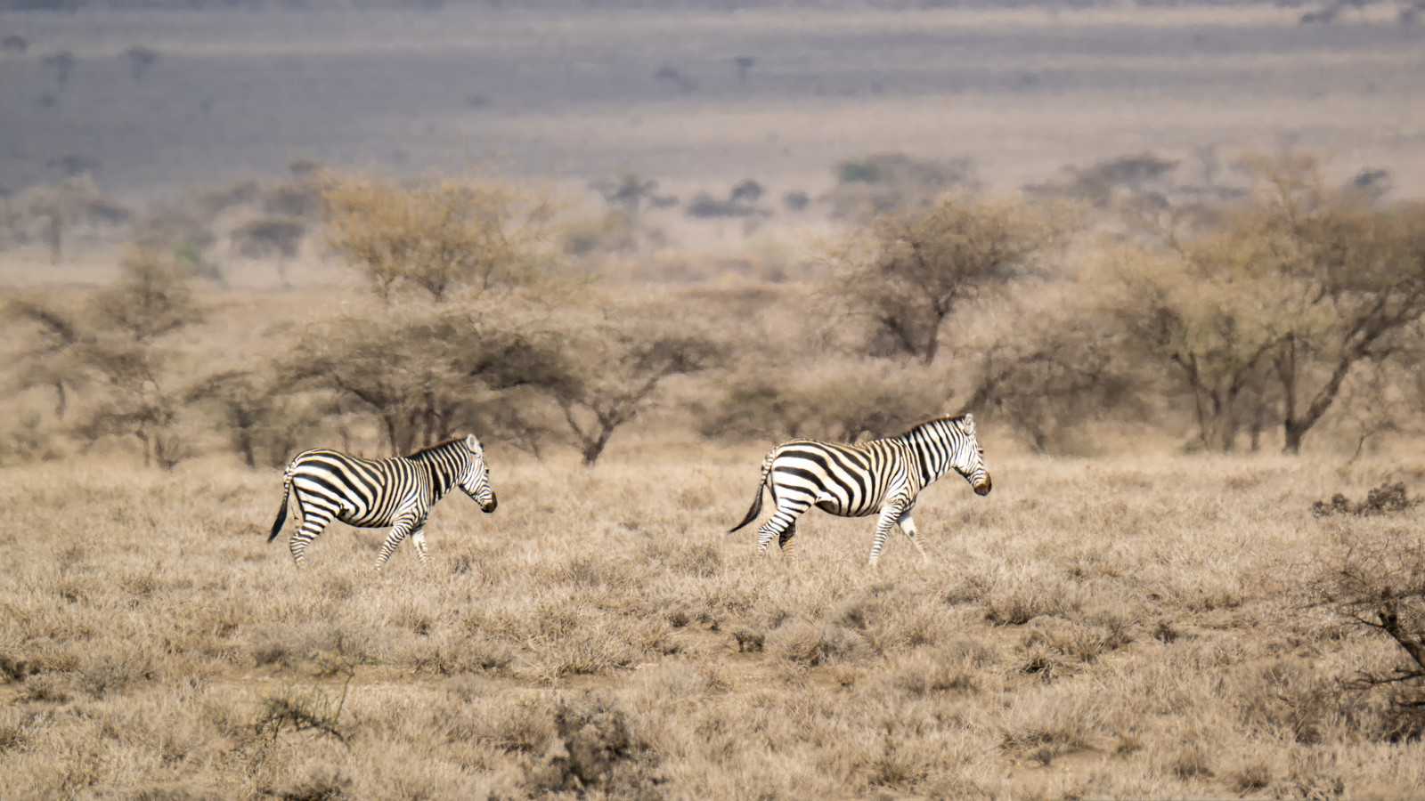 0260-tanzanie-2022.jpg