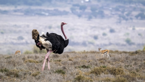 0211-tanzanie-2022.jpg