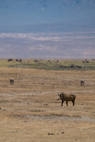 0092-tanzanie-2022.jpg