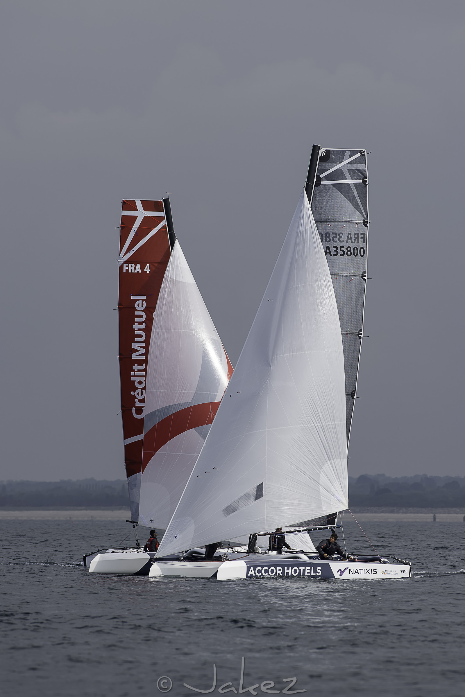 57-multyco-2016.jpg
