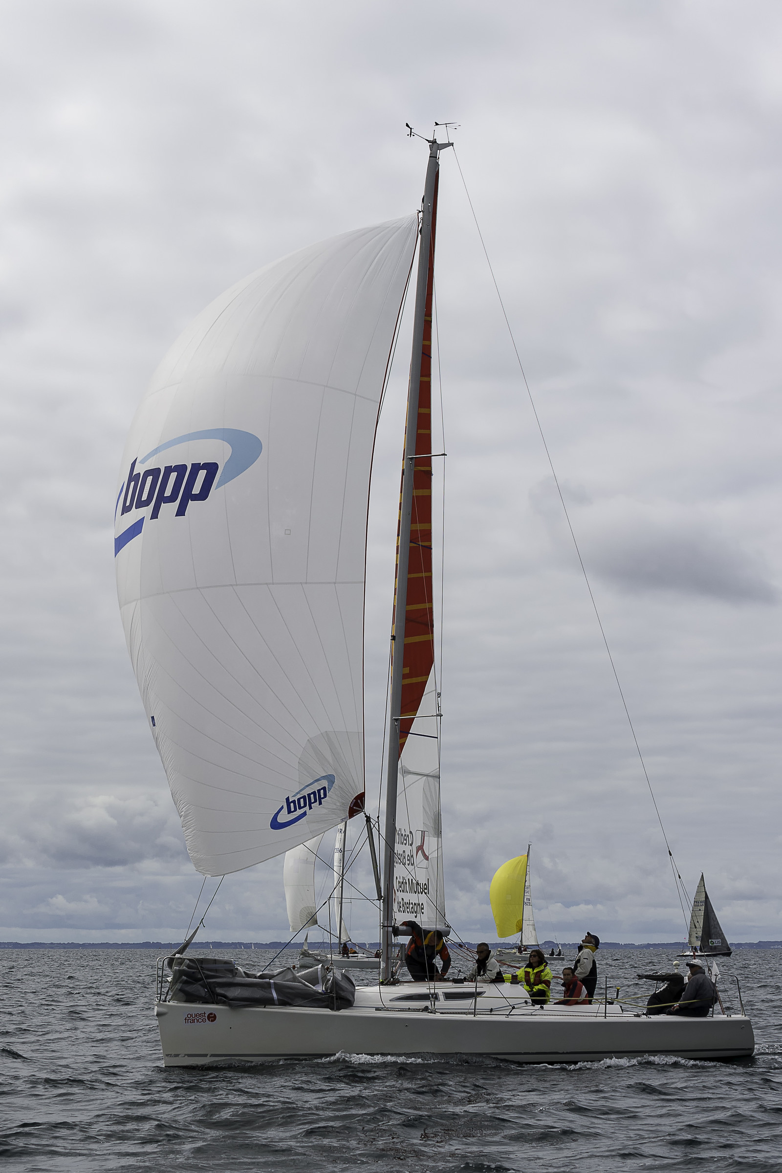 731-spi-2017.jpg