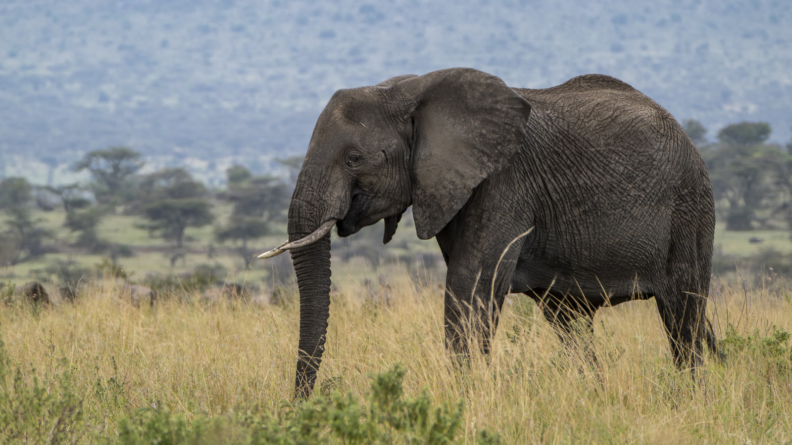 0189-tanzanie-2022.jpg