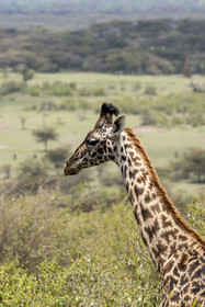 0205-tanzanie-2022.jpg