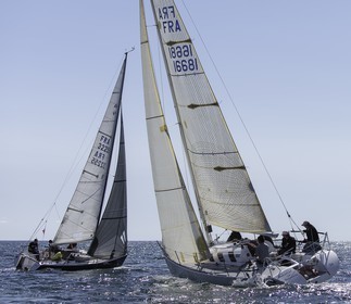 058-obelix-2015.jpg