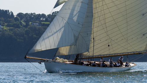 167-hoalen-2024.jpg