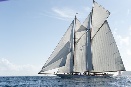 CAN2012-1337