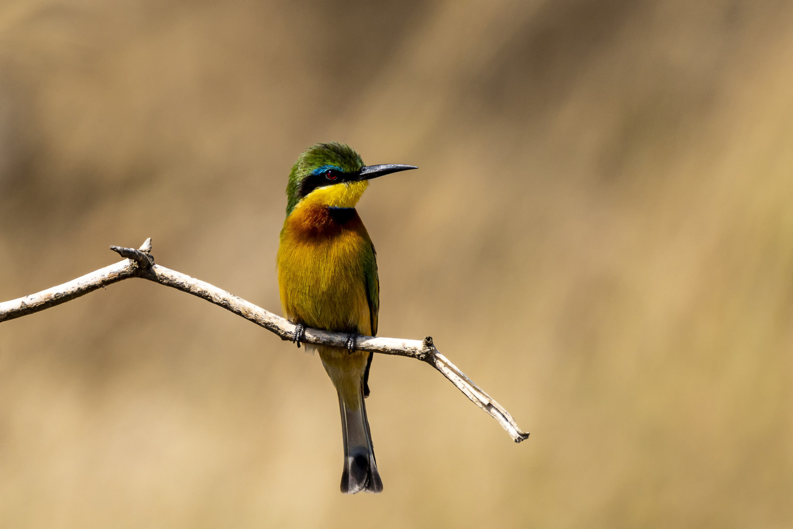 0132-tanzanie-2022.jpg