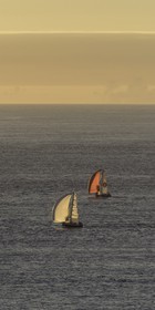 139-minitransat-2015-depart-.jpg